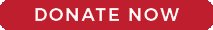 donate now button